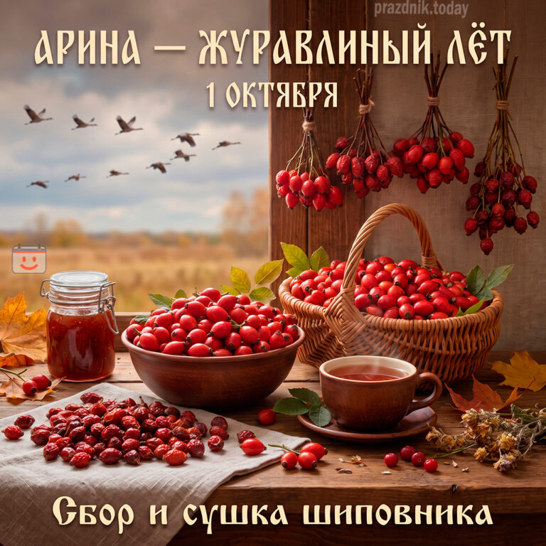 Открытка для праздника Арина Шиповница 1 октября