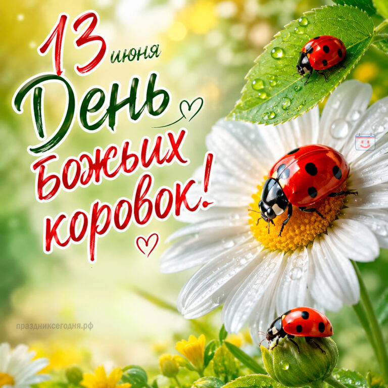 Открытка ко дню божьих коровок 13 июня